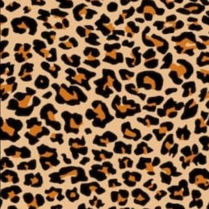 Meet your Posher, Carly